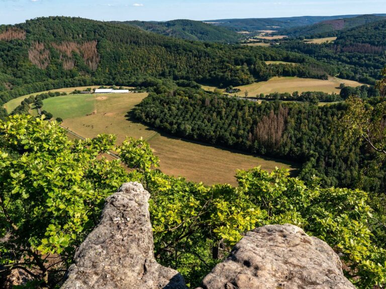 eifel-ausflug-wandern-nationalpark