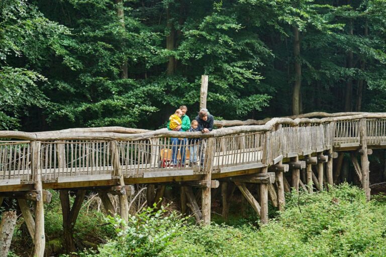 wilder-weg-in-der-eifel-pressefoto